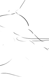 Link-Page-02a