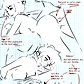 Lighter Chains V6 Bonus 10