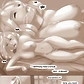 Path of the Genie 55